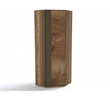 Угловой шкаф для одежды ПХ-2 (ДГТ) Ханна