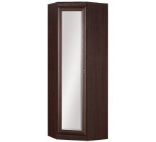 Угловой шкаф с зеркалом для прихожей Инна 621 темный